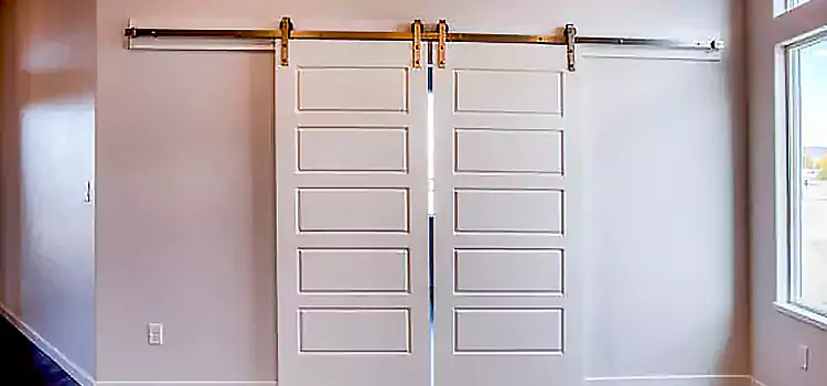 Glass Barn Door with Installation Hardware Kit West Mifflin